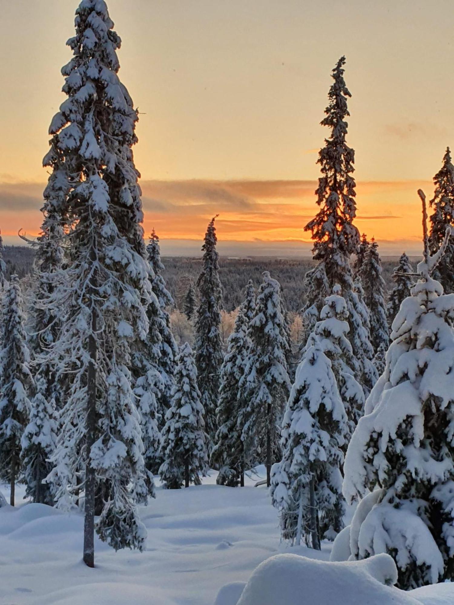 Hietavilla Borealis Ruka Eksteriør bilde